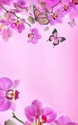 Pink Flowers Live Wallpaper android App screenshot 6